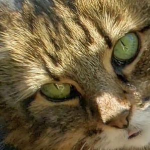 Meet your Posher, Helene